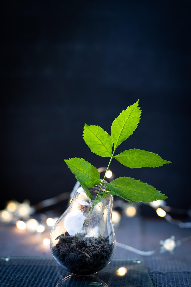 Upcycling Innovations